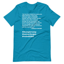 Load image into Gallery viewer, Witch Hunt Trump Quote Short-Sleeve Unisex T-Shirt
